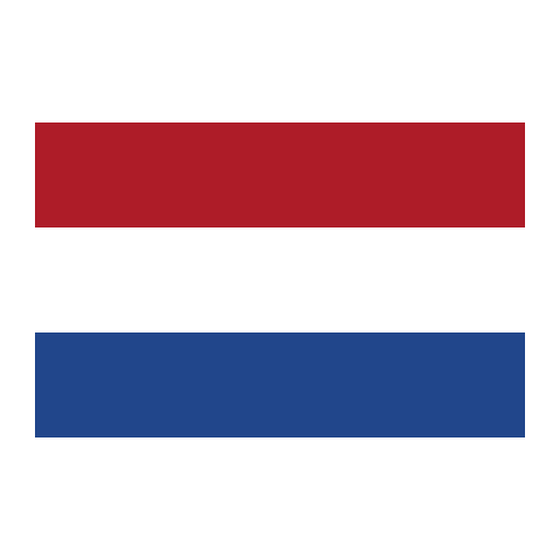 Health and safety courses for Dutch learners with Irish Health and Safety