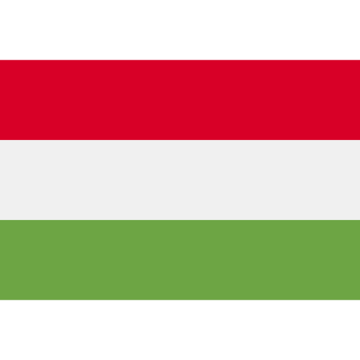 Online safety courses for Hungarian learners with Irish Health and Safety