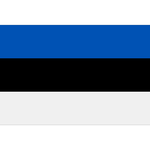 Online safety courses for Estonian learners with Irish Health and Safety